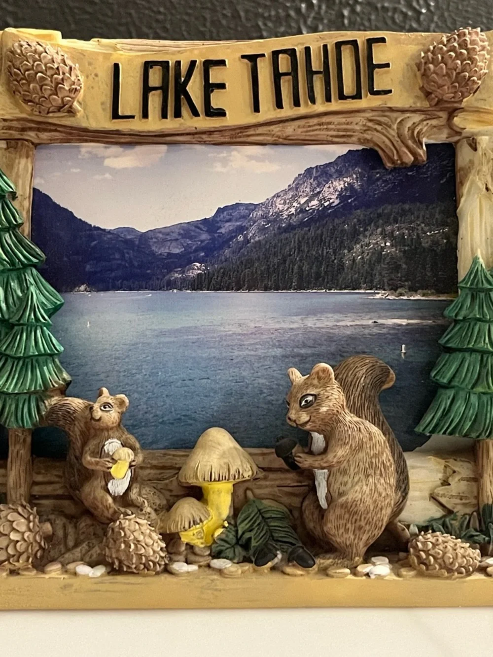 Lake Tahoe Squirrel & Pinecone Resin free-standing 3D Frame - Brown/Green